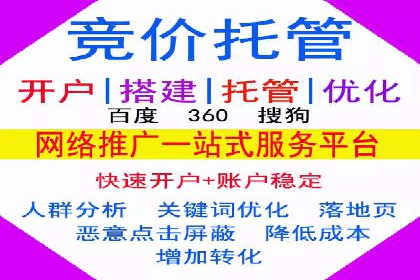 成功案例：sem竞价托管的智慧与策略